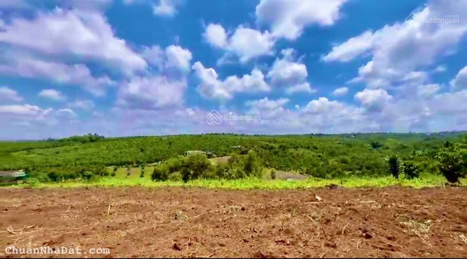 Cần tiền Bán nhanh 10 SÀO đất tại Định Quán,ĐỒNG NAI. Cần tiền Bán nhanh 10 SÀO đất tại Định Quán,ĐỒNG NAI.