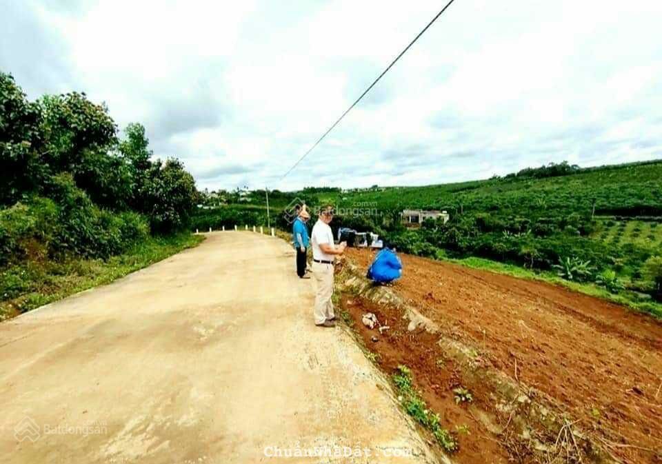 Cần tiền Bán nhanh 10 SÀO đất tại Định Quán,ĐỒNG NAI. Cần tiền Bán nhanh 10 SÀO đất tại Định Quán,ĐỒNG NAI.