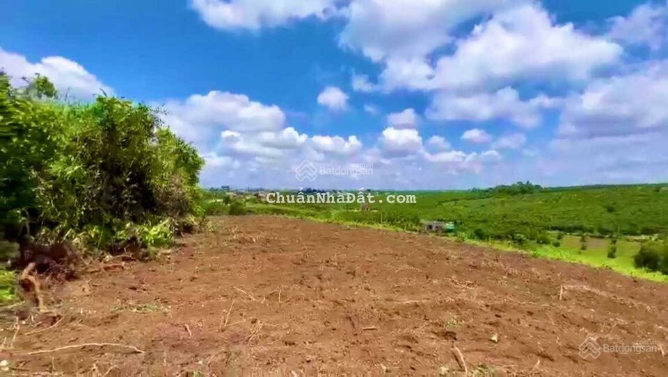 Cần tiền Bán nhanh 10 SÀO đất tại Định Quán,ĐỒNG NAI. Cần tiền Bán nhanh 10 SÀO đất tại Định Quán,ĐỒNG NAI.