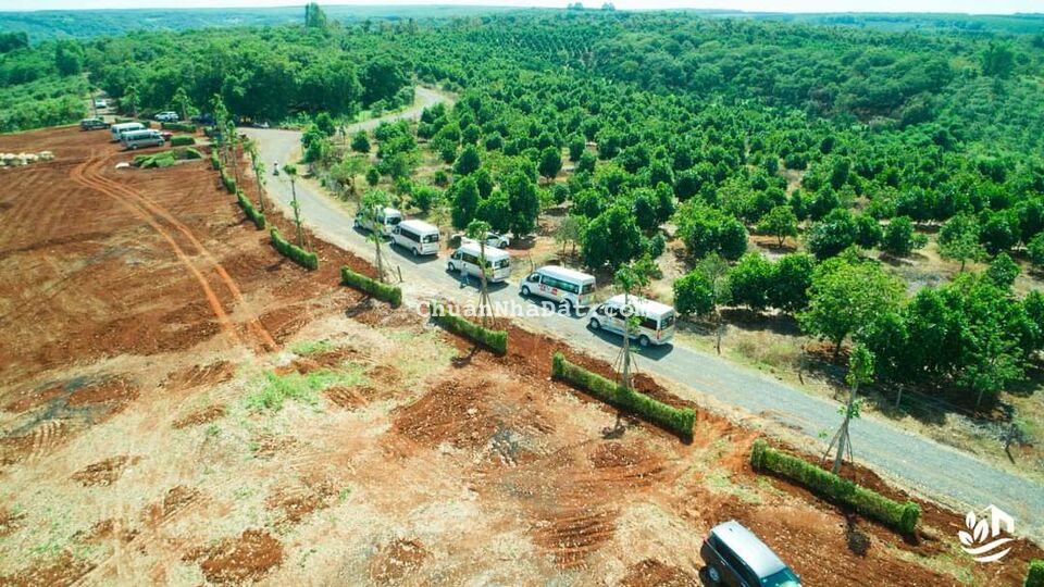 Bán 5000m2 vườn cây ăn trái đang thu hoạch ,SHR từng nền .