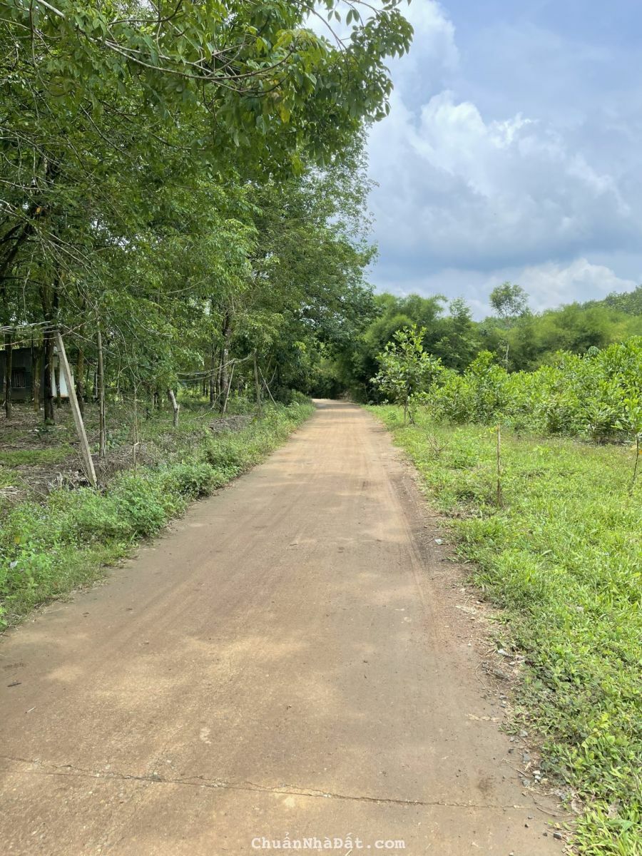 Gấp Gấp Chính Chủ Cần Tiền Nên Bán Đất Gía Đầu Tư - GIÁ CHỈ 899TR / LÔ