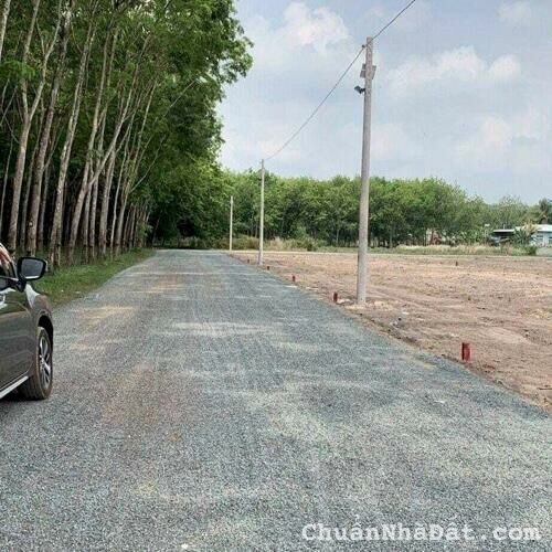 ĐANG CẦN TIỀN BÁN GẤP 3100M2 GIÁ 490TR/SHR,MT NHỰA NHÀ NƯỚC NGAY CỤM KCN BECAMEX