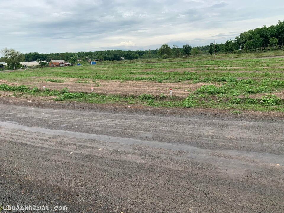 BÁN RA 4000M2 GIÁ 500TR/SHR, MT 18M NHÀ DÂN XUNG QUANH, GẦN NHÀ MÁY XÍ NGHIỆP THÔNG RA QL