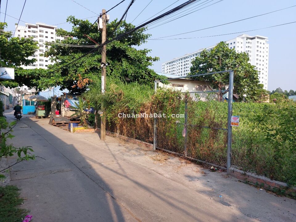 Bán 2 lô đất mặt tiền Huỳnh Bá Chánh, Tân Kiên, Bình Chánh