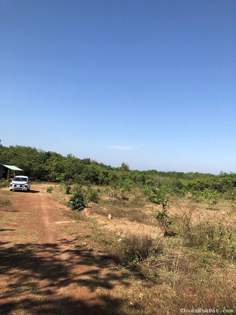 Đất sào sổ sẵn 1050m2 KCN Lộc Ninh Bình Phước Đất sào sổ sẵn 1050m2 KCN Lộc Ninh Bình Phước