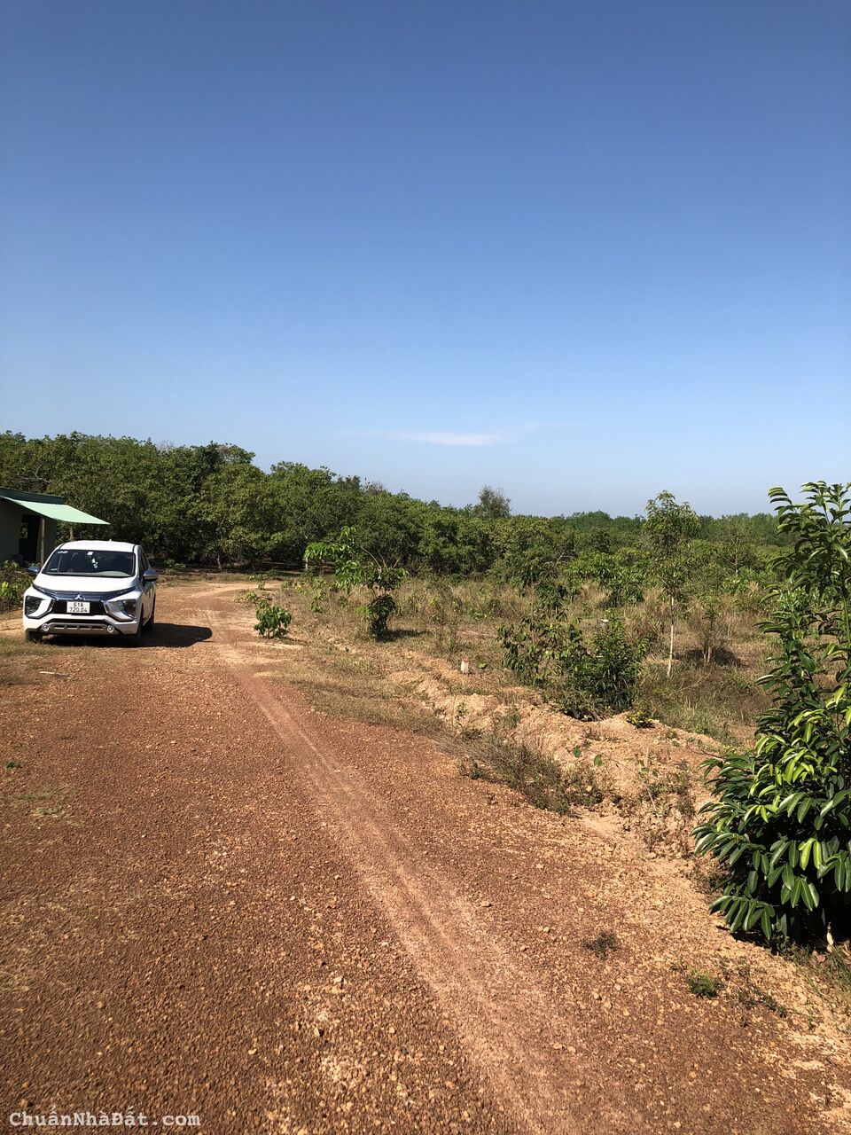 Đất sào sổ sẵn 1050m2 KCN Lộc Ninh Bình Phước Đất sào sổ sẵn 1050m2 KCN Lộc Ninh Bình Phước