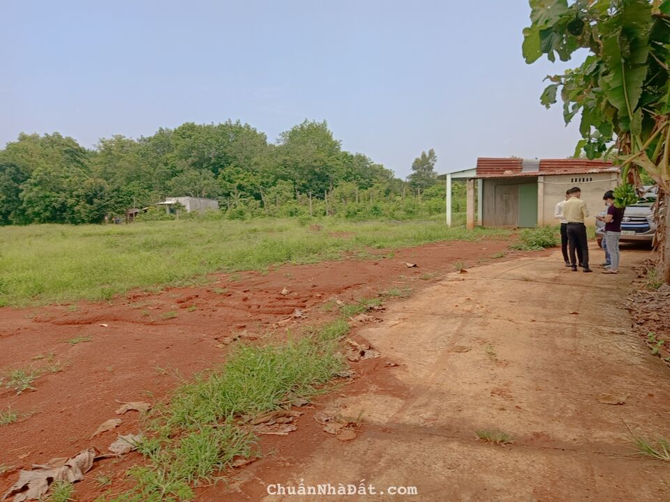 Đất thổ cư KCN Lộc Ninh 205m2 439tr