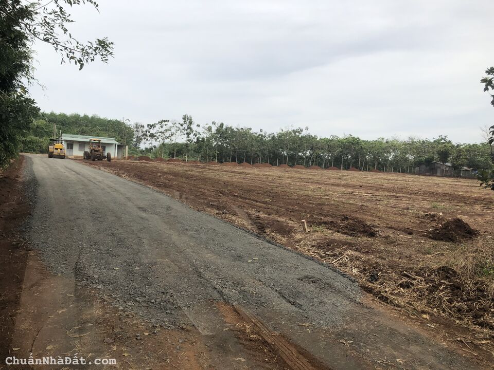 Đất 309m2 có nhà sẵn 2 mặt tiền cạnh KCN Lộc Ninh, Bình Phước