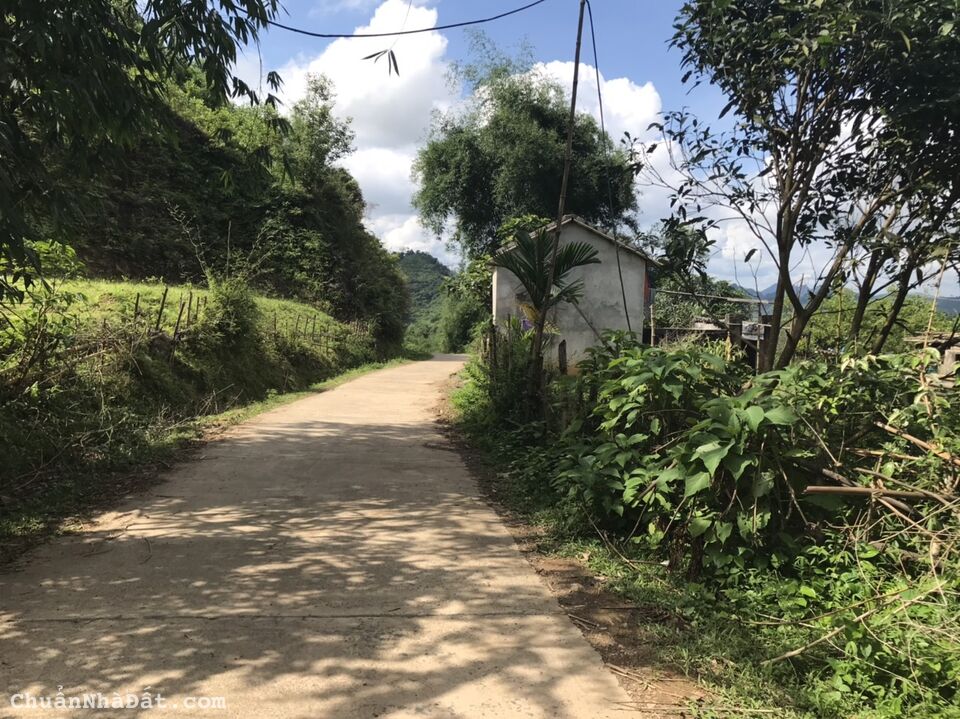 Cần bán nhanh 2089m,thổ cư 400m Tân Lạc,Hòa Bình,sẵn sổ , cách QL 6 chỉ 300m, giá siêu rẻ 1,1 tỷ