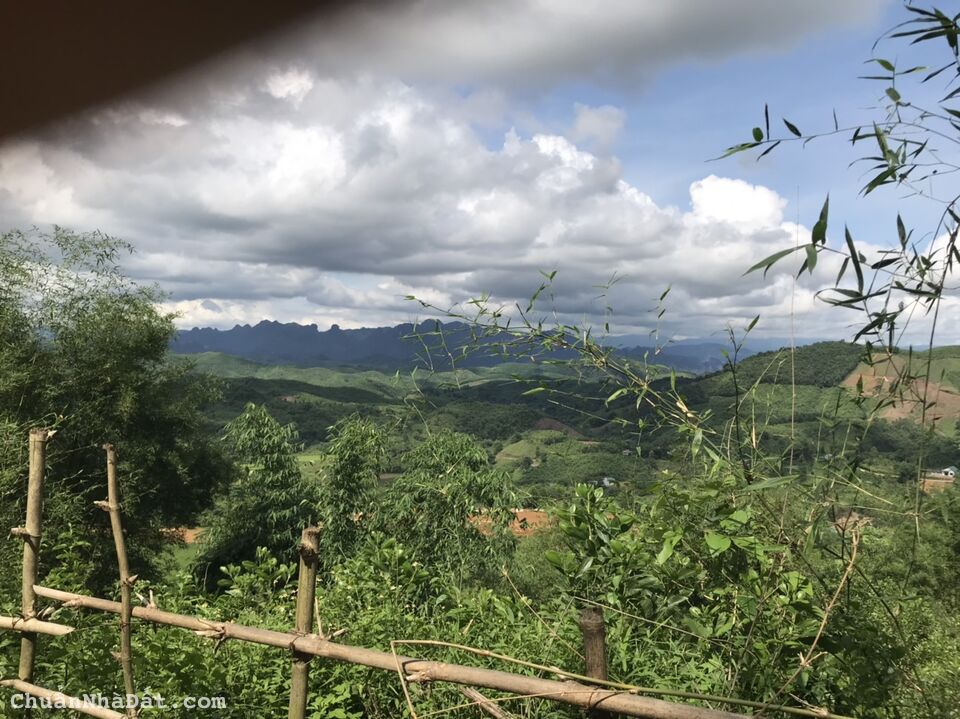 Cần bán nhanh 2089m,thổ cư 400m Tân Lạc,Hòa Bình,sẵn sổ , cách QL 6 chỉ 300m, giá siêu rẻ 1,1 tỷ