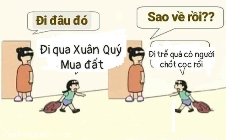 Làm gì để có 200-500 củ từ 3 đến 6 tháng ?