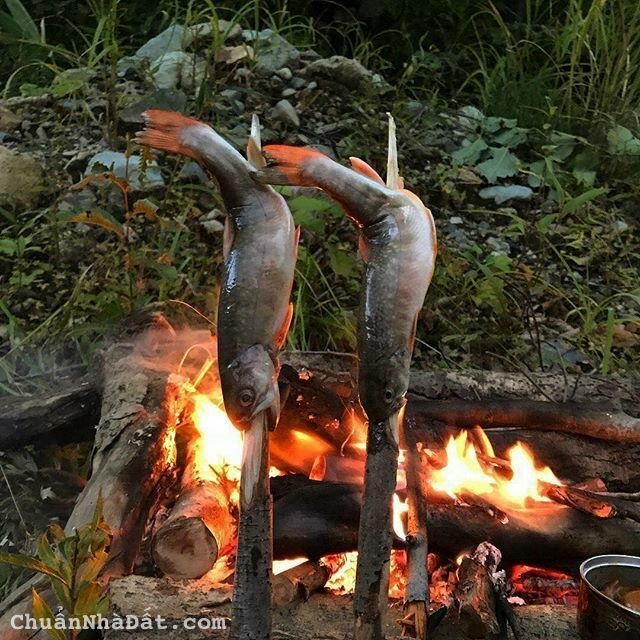 Sở hữu ngay lô đất làm nhà nghỉ dưỡng hoặc đầu tư SHR