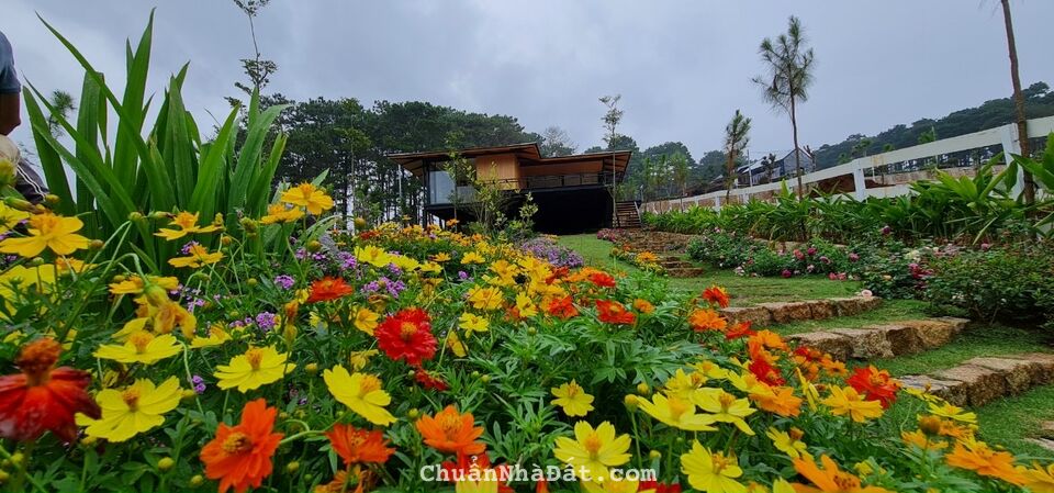 Sở hữu ngay lô đất làm nhà nghỉ dưỡng hoặc đầu tư SHR