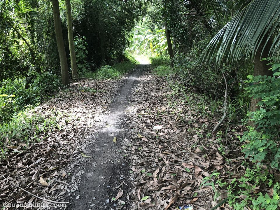 Cần ban nhanh trong thang 675m2 đất CLN giá 210tr/nền5x45