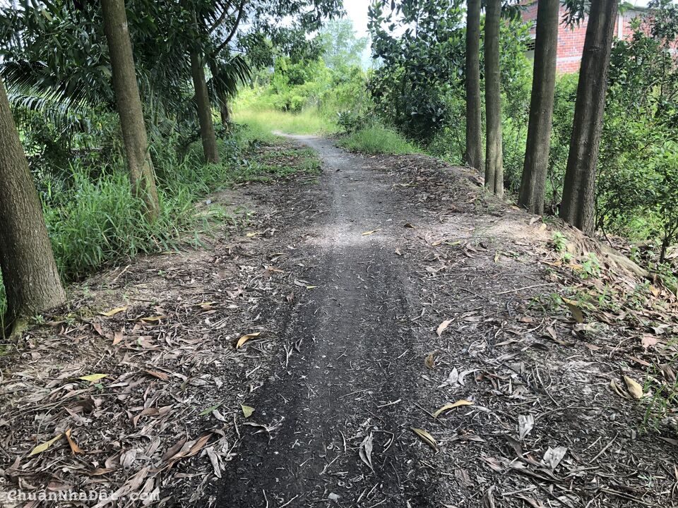 Cần ban nhanh trong thang 675m2 đất CLN giá 210tr/nền5x45