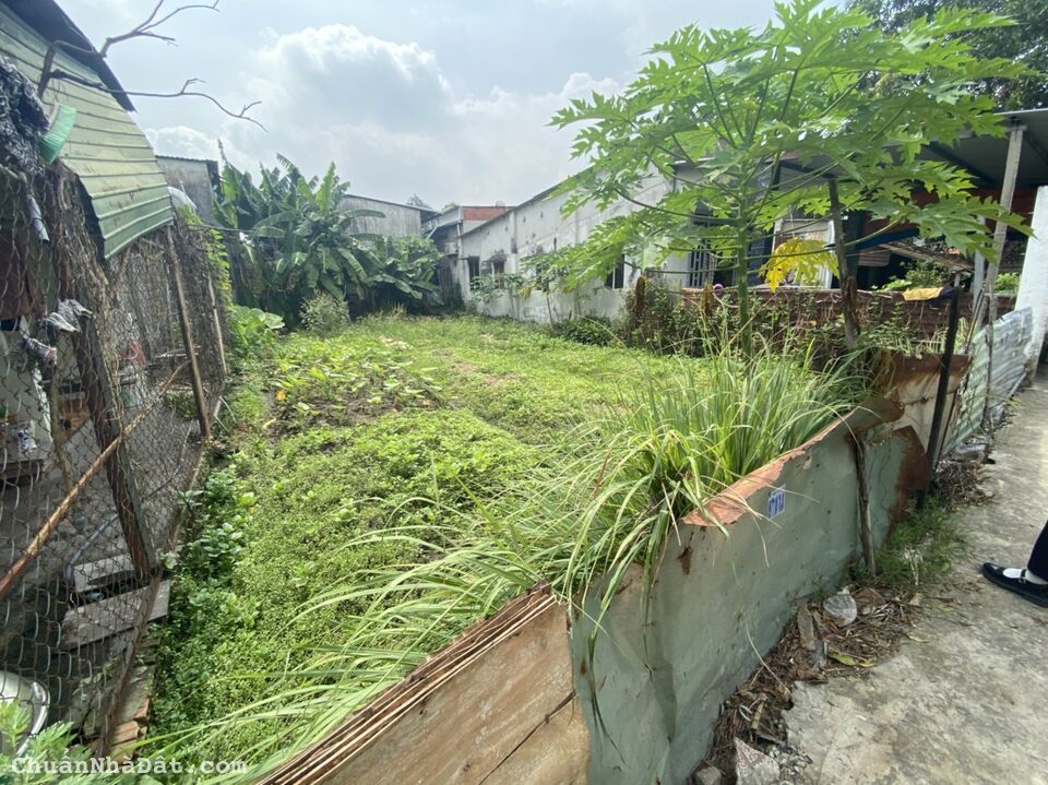 BÁN ĐẤT THỔ CƯ PHƯỜNG BÌNH CHIỂU TP THỦ ĐỨC 