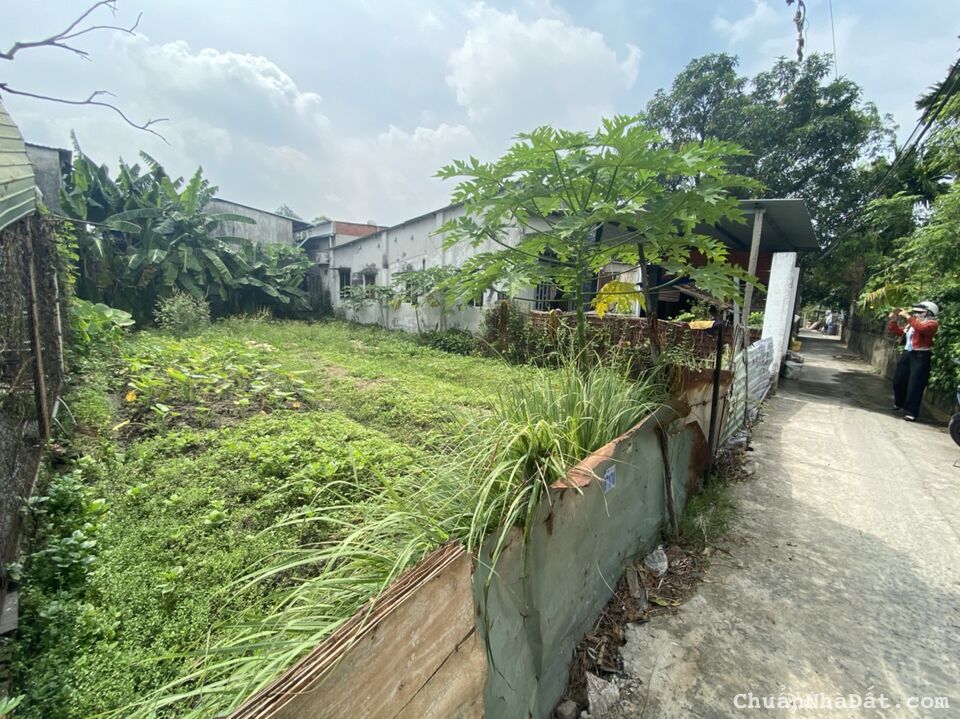 BÁN ĐẤT THỔ CƯ PHƯỜNG BÌNH CHIỂU TP THỦ ĐỨC 